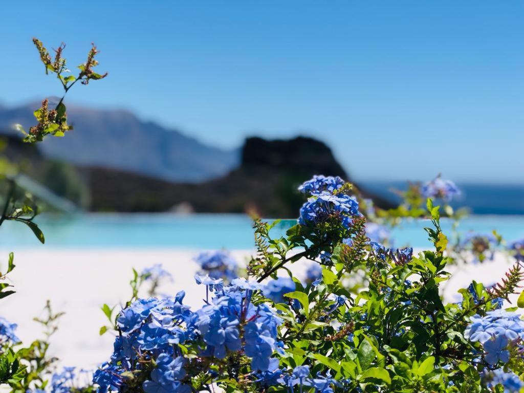 Paraisos De Agaete Puerto de las Nieves Εξωτερικό φωτογραφία